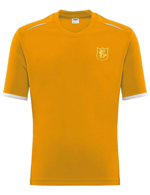 Elmhurst House T-Shirt - Gold (Reception Only)